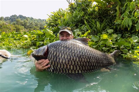 gillhams fishing resort tips|Fishing At Gillhams Thailand: A Truly Memorable Adventure.